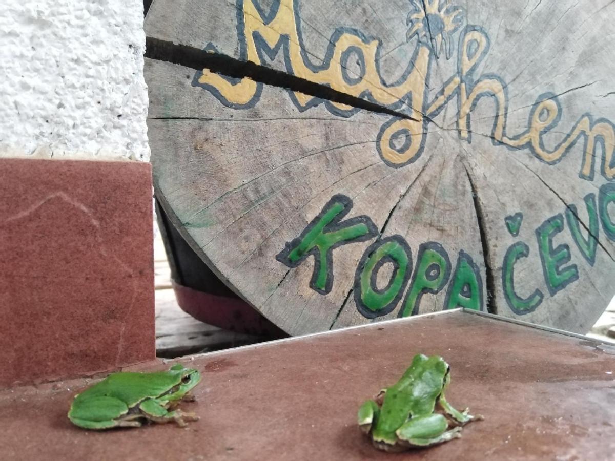 B&B Majhen Kopacevo Eksteriør bilde