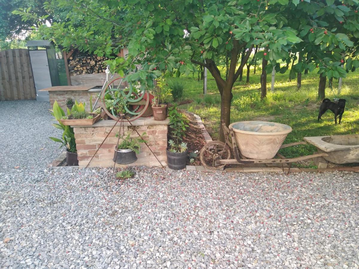 B&B Majhen Kopacevo Eksteriør bilde