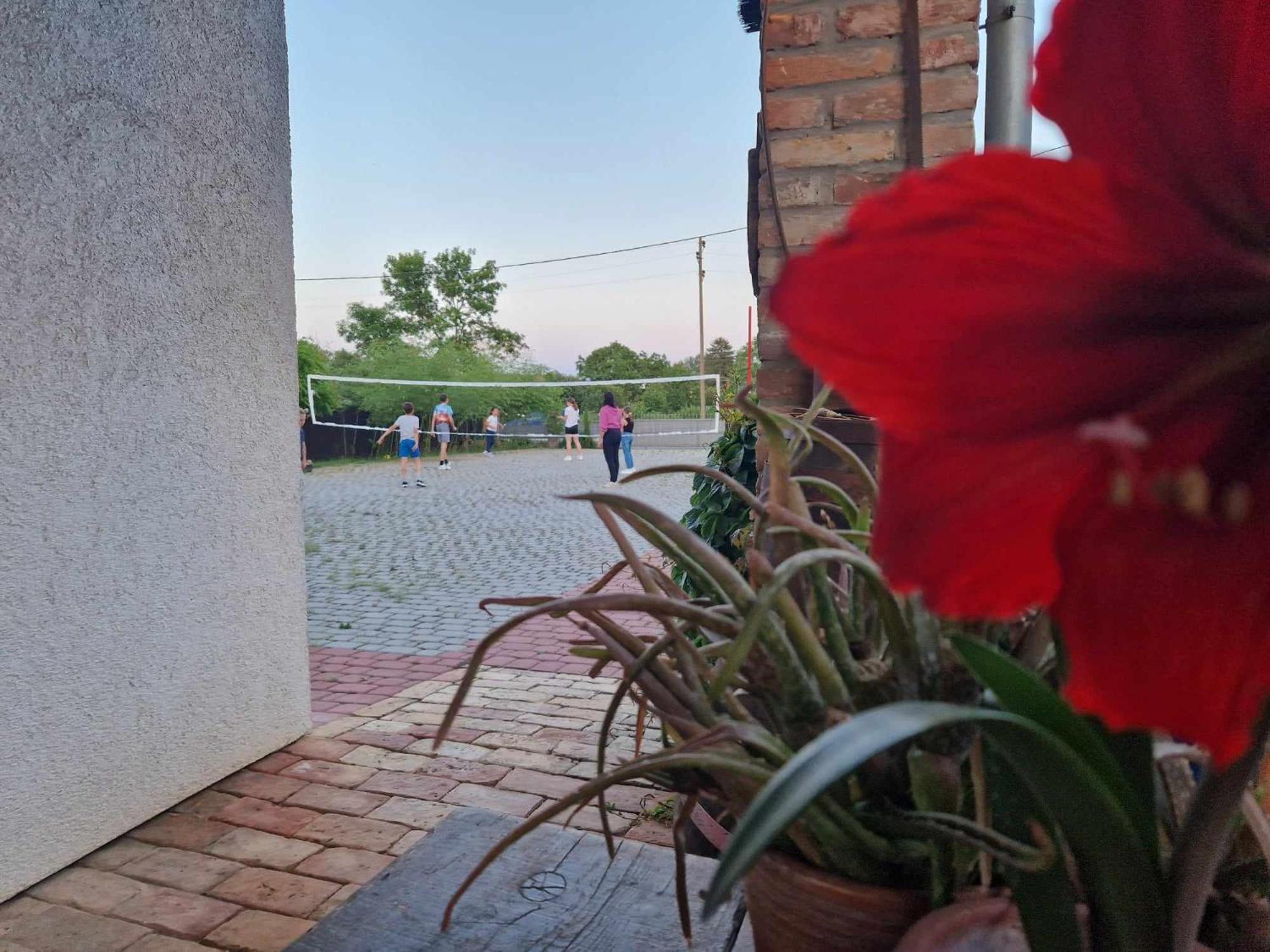 B&B Majhen Kopacevo Eksteriør bilde